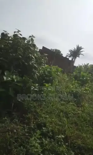 A Flat Land of 100/100 at Evboneka 1 for Sale