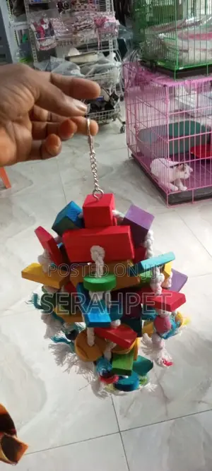 Birds Toys Available for Sale