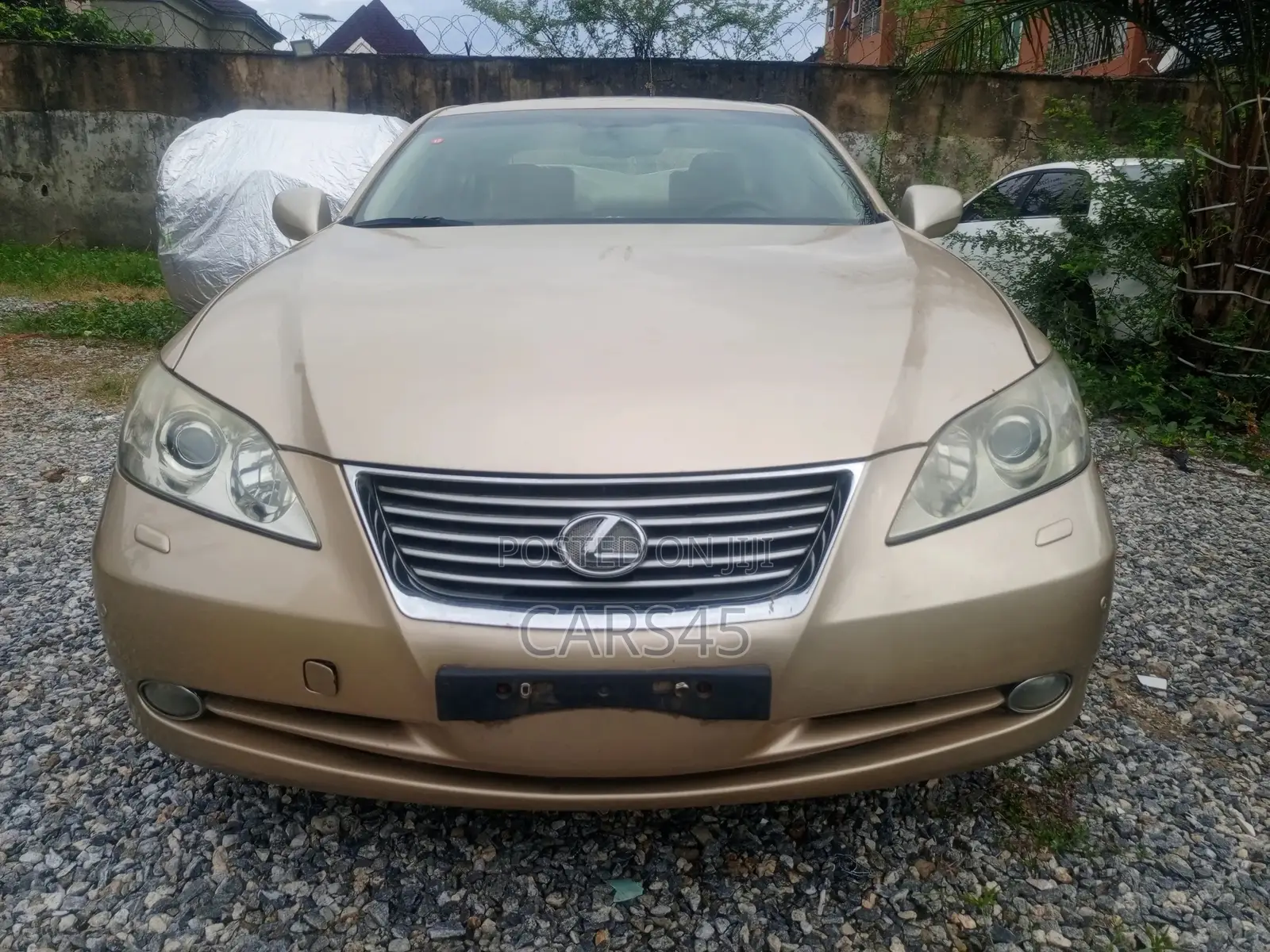 Lexus ES 2007 Gold