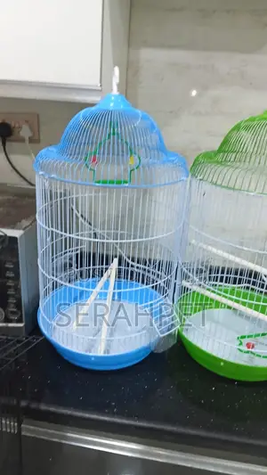 Beautiful Fancy Cages Available