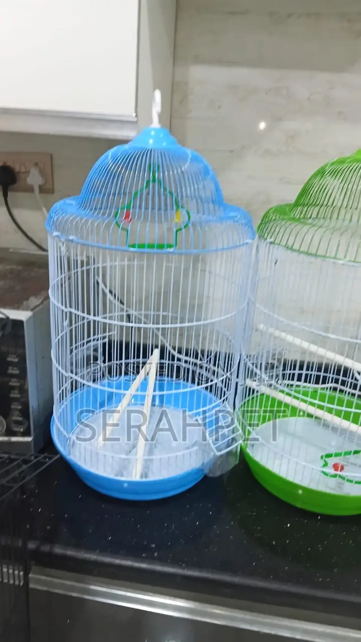 Beautiful Fancy Cages Available