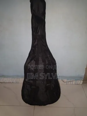Sumer Audio Guitar