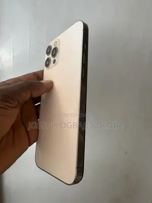 Apple iPhone 12 Pro Max 256 GB Rose Gold