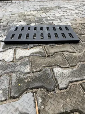 Gully Cover 30x60 Cm