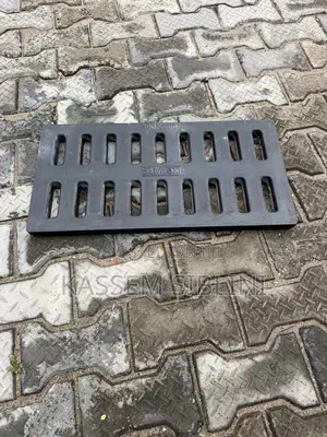 Gully Cover 30x60 Cm
