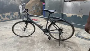 Big Bicycle - Size 28