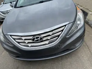 Hyundai Elantra 2013 Gray