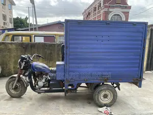 Tricycle 2015 Blue