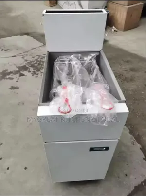 Gas Fryer Standing Double Basket