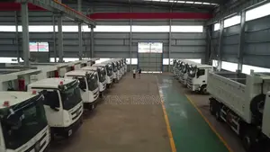 Foton Teuck