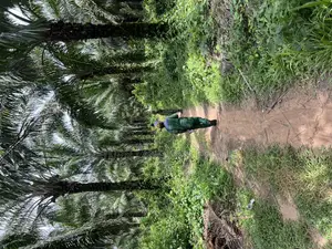 140 Acres for Sale at Alabata Very Close to the Town Odeda