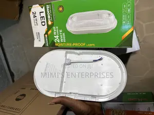 24watts Cwolves Outside Light