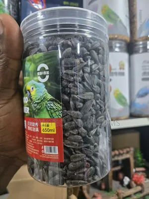 Sunflower Oil Seed Food for Parrot