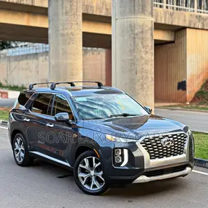 Hyundai Palisade 2020 Gray
