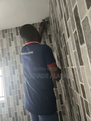 Professional Cleaning