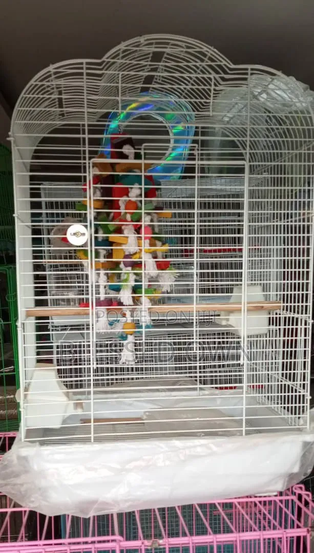Fancy Foreign Parrots Cage Are Available