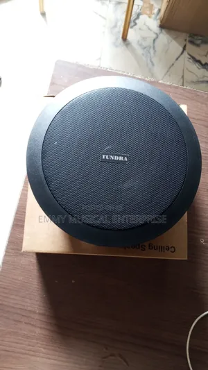 Black Ceiling Speaker