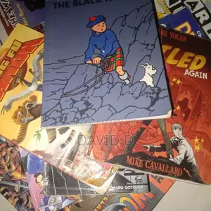 Premium 14-Book Graphic Novel Manga Collector’S Bundle