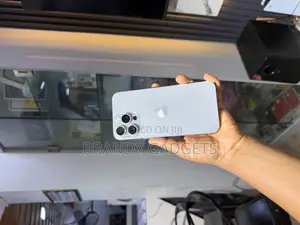Apple iPhone 15 Pro Max 256 GB Gray