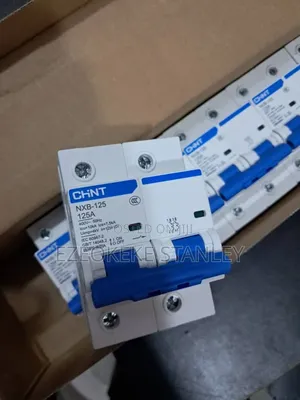 125a Ac Chint Breaker 2pole MCB
