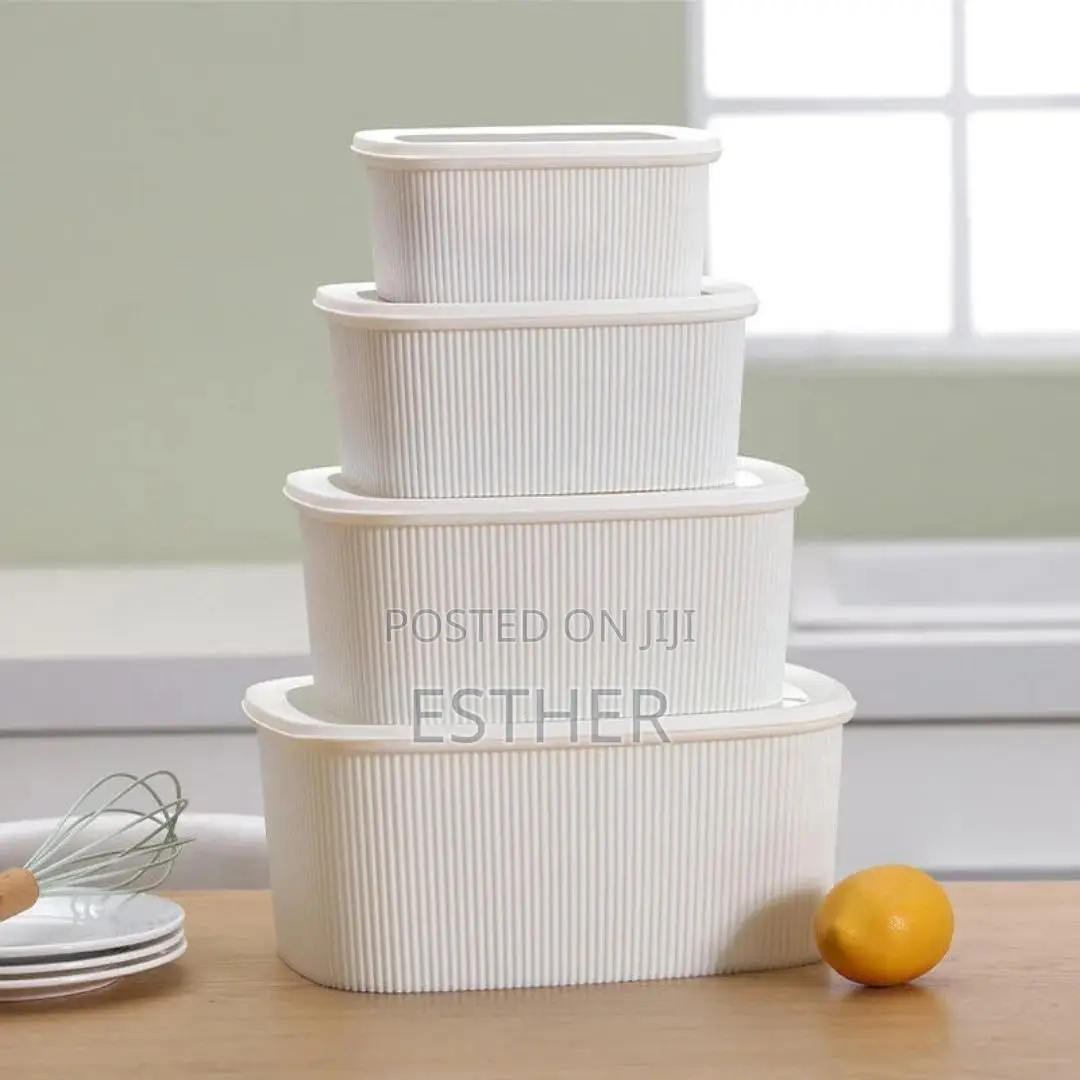 4pcs Food Storage Containers