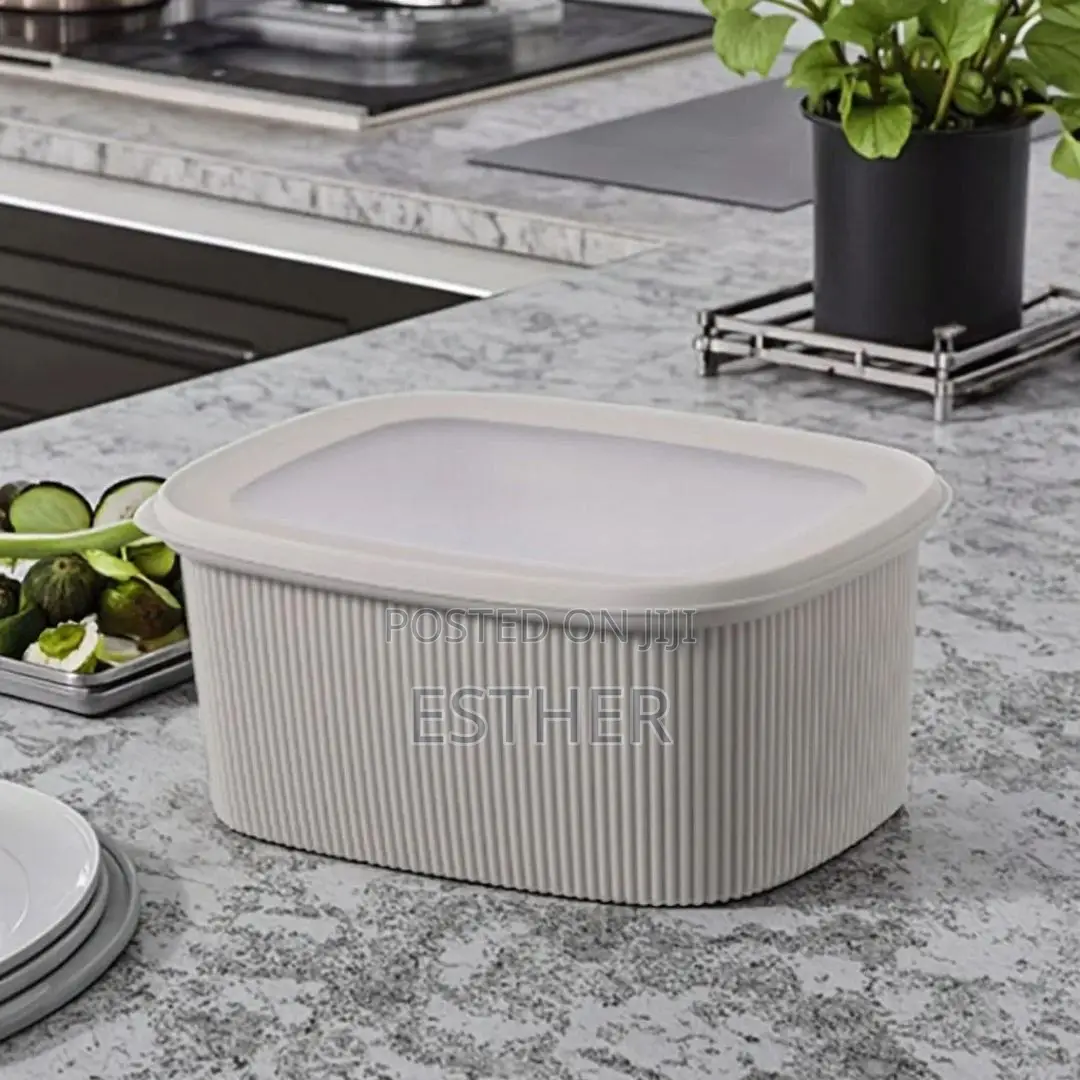 4pcs Food Storage Containers