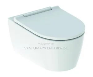 Geberit Seat and Cover Only