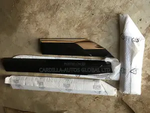 Door Moulding Land Cruiser 2023