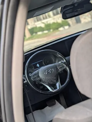 Hyundai Palisade 2019 Black