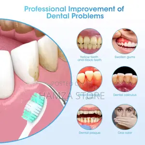 Electric Teeth Cleaner