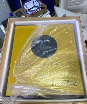 7.6kwh 24v SMS Lithium Battery