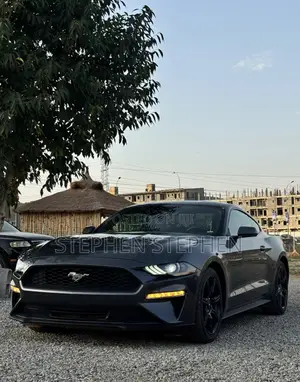 Ford Mustang 2020 Gray