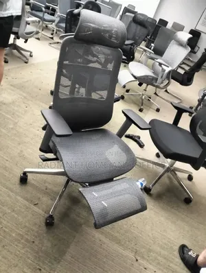 Ergonomic Office Chair Swevil