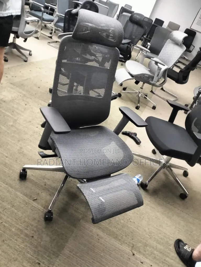 Ergonomic Office Chair Swevil