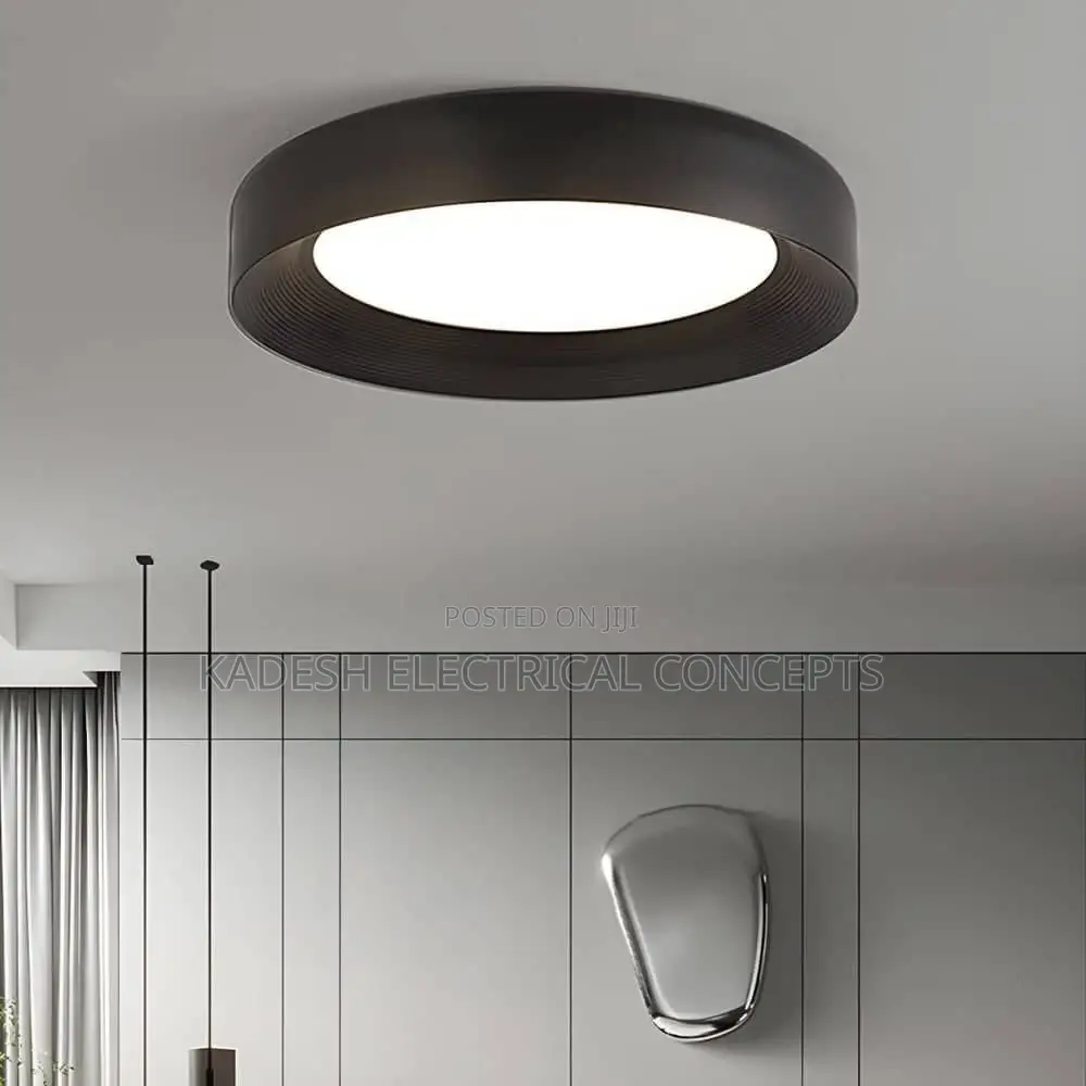 Modern Minimalism Black Round Led Ceiling Lights Lighting Bedroom