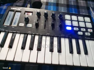 Panda Mini Ii Midi Keyboard