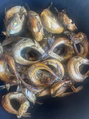Oven Dried Panla Fish