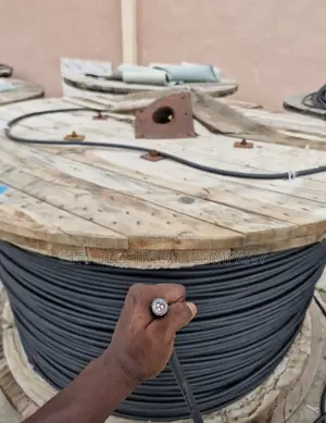 3x10 Mm2 Nigerchin Electric Cable