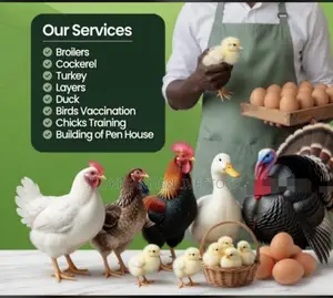 Poultry Farming