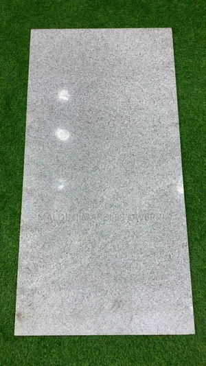 Goody White Granite Tile/Slab