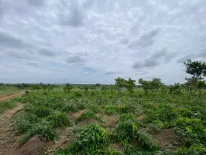 Affordable Land in Abuja