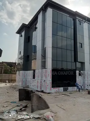 Curtain Wall Windows
