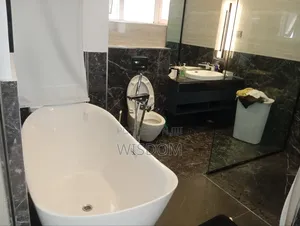 Janitorial Services, (Professional Cleaning)