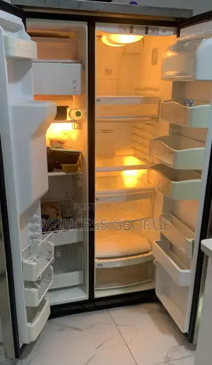 Neat Standing Double Door Fridge for Sell