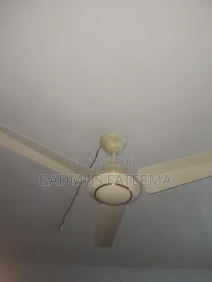 Fairly Used Orl Giant 60 Fan