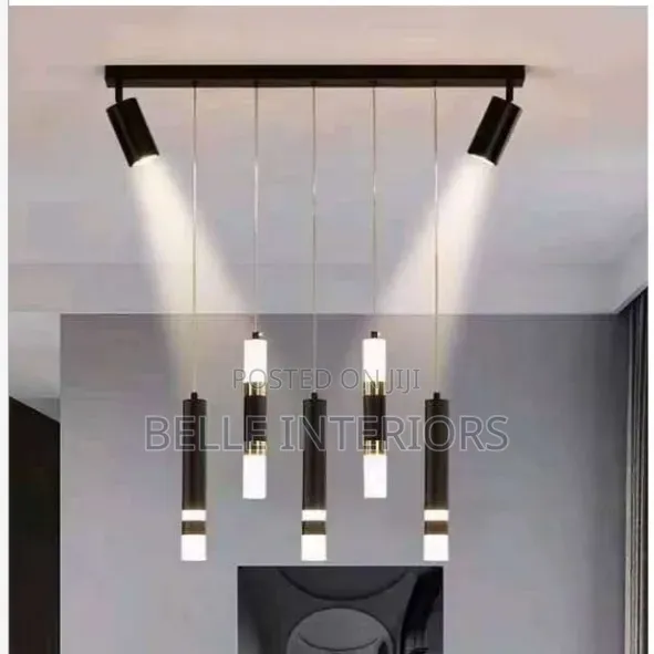 Led Pendant Lamp Dual Light Sources