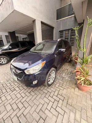Hyundai Tucson 2011 Blue