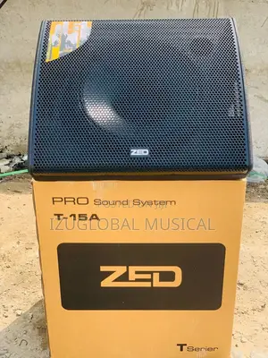 Zed Active 15”Inches Powered Stage Monitor Speaker