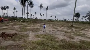 Land for Sale at Jason City Estate, Rumuoji Eneka Ph