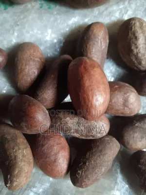 Bitter Kola